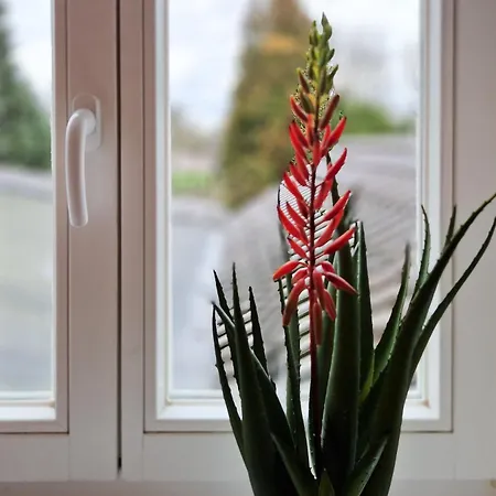 Restaurant Laternchen 2* كولونيا