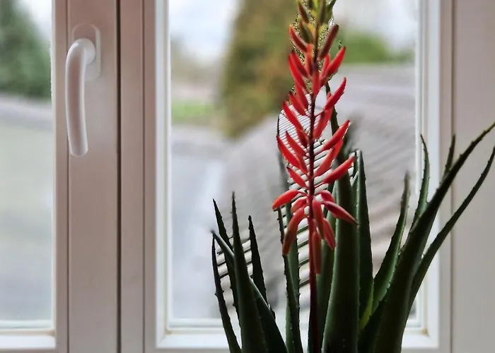 Restaurant Laternchen 2* 쾰른